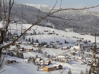 Holiday apartment Hirschegg im Kleinwalsertal  9