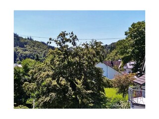 Fewo SkywalkBlick**** - Panorama zum Skywalk