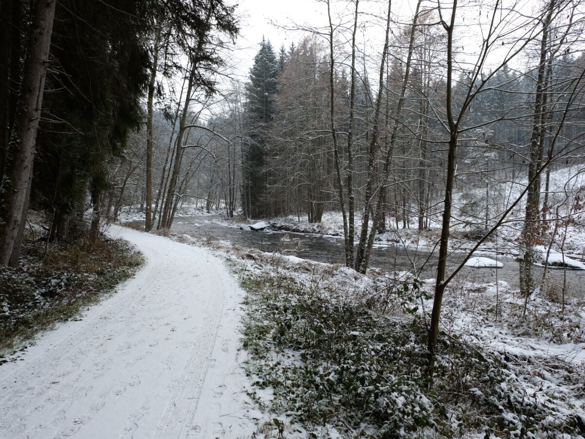 Ilzwanderweg im Winter