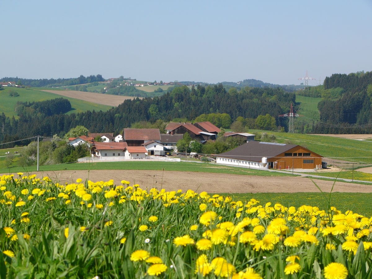 Frühling in Anzerreut