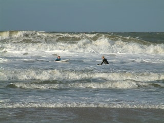 Holiday apartment Domburg Environment 17