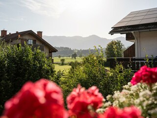 Aussicht vom Balkon in die Allgäuer Berge