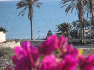 Chalet Costa Calma Buitenaudio-opname 6