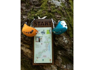 Casa per le vacanze St. Leonhard in Passeier Ambiente 35