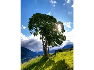 Sommer :)
