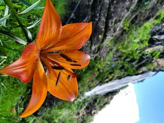 Casa per le vacanze St. Leonhard in Passeier Ambiente 27