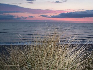 Genießen Sie den Ausblick aufs Meer