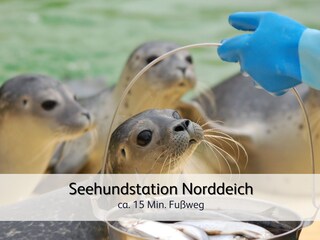 Apartamento de vacaciones Norddeich Entorno 22