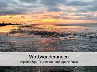 Apartamento de vacaciones Norddeich Entorno 32