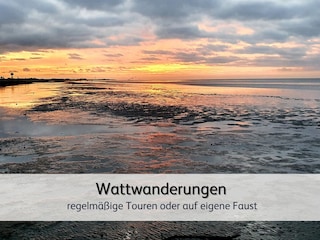 Infos zu Wattführern findet ihr in unserer Gästemappe