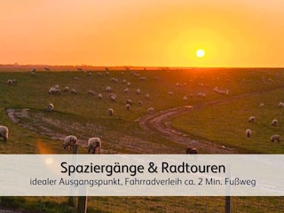 erkundet die einzigartige Natur