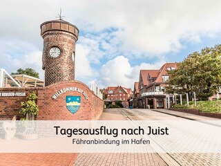 ein Ausflug auf die Insel