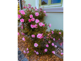 Holiday apartment Garmisch-Partenkirchen Environment 13