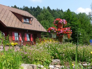 Appartamento per vacanze Freudenstadt Registrazione all'aperto 7