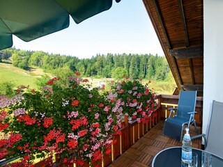 Appartamento per vacanze Freudenstadt Caratteristiche 24