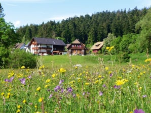 2-Zimmer-Ferienwohnung im Landhaus Anja - Freudenstadt - image1