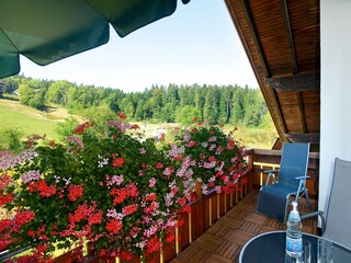 Appartamento per vacanze Freudenstadt Registrazione all'aperto 5