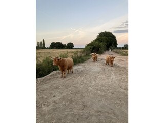 Wildlife ; )