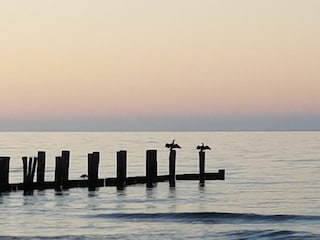 Ferienwohnung Zingst Umgebung 21