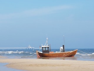 Ferienwohnung Zingst Umgebung 22