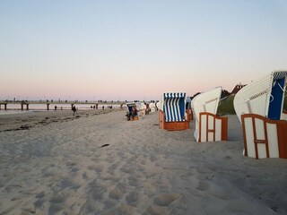 Ferienwohnung Zingst Umgebung 23