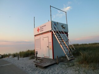 Ferienwohnung Zingst Außenaufnahme 14