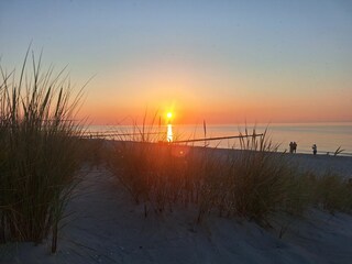 Ferienwohnung Zingst Außenaufnahme 16