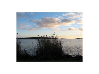 der nahegelegene Ruppiner See