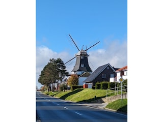 Umgebung
