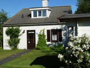 Ferienhaus für 6 Personen auf Texel - De Cocksdorp - image1