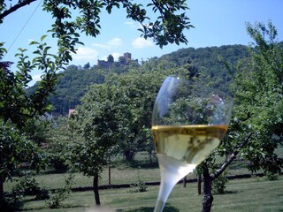 Casa per le vacanze Klingenmünster Ambiente 14