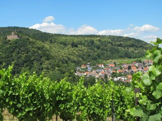 Casa per le vacanze Klingenmünster Ambiente 15