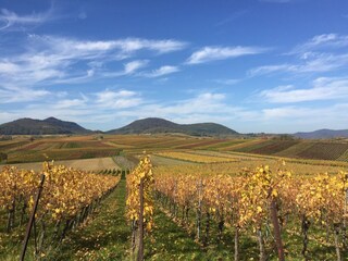Casa per le vacanze Klingenmünster Ambiente 17