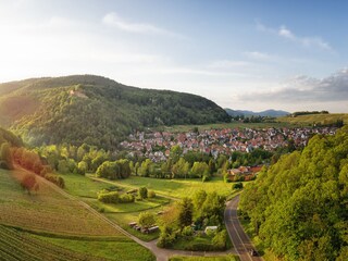 Vakantiehuis Klingenmünster Omgeving 19