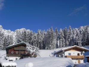 Holiday apartment Riedling - Going am Wilden Kaiser - image1