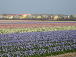Casa per le vacanze Julianadorp Ambiente 16