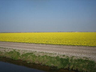 Casa per le vacanze Julianadorp Ambiente 17