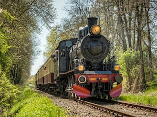 Bungalow Simpelveld Environment 5