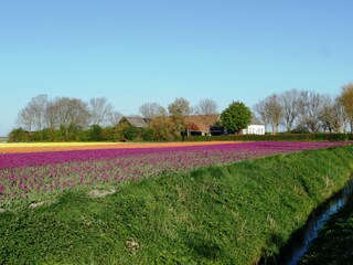 Chalet Zonnemaire Umgebung 13