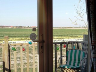 Chalet Zonnemaire Environment 11