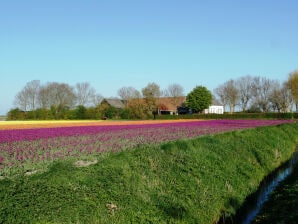 Camping Hofstede Zonnevliet - Safaritent