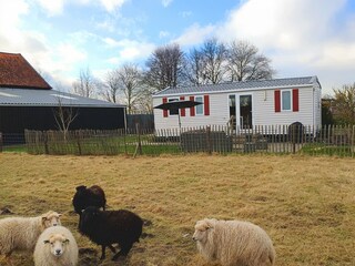 Chalet Zonnemaire Umgebung 8