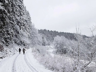 Apartment Winterberg  3