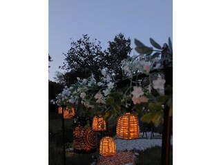 Cottage Appelscha Umgebung 21