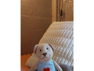 Cottage Appelscha  25