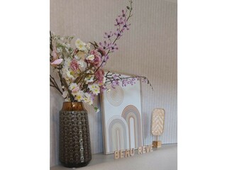 Cottage Appelscha  27