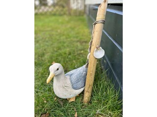 Chalet Kamperland  15