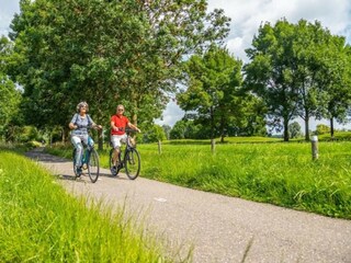 Holiday house Rossum  14