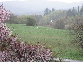 Apartment Penzing Environment 10