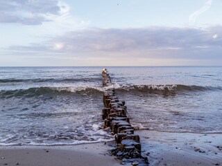Appartement de vacances Boltenhagen Environnement 31